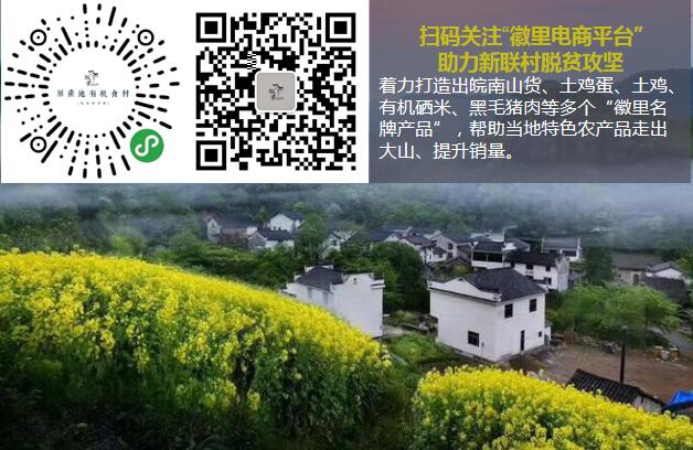 “徽里農特產(chǎn)”電商平臺助力新聯(lián)村脫貧攻堅