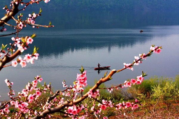 春游江淮請您來(lái)丨清明踏青天堂寨，詩(shī)意美景惹人醉